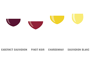 4 different types of wine glasses